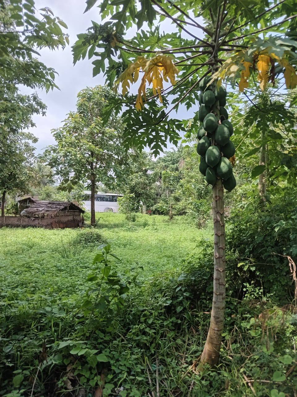 කටාන පර්චස් 15 ඉඩමක් විකිණීමට 
✨ ප්‍රධාන මාර්ගයට මුහුණලා - කටාන මහා ලේකම් කාර්යාලය ආසන්නයේ
✨ Located facing the Negombo–Diwulapitiya main road, near Katana Divisional Secretariat
✨ මීගමුවට කිලෝමීටර් 5ක් පමණි | Only 5km to Negombo
✨ ඉතා වටිනා බිම් කොටසක් | Valuable plot ideal for living or business
✨ නිරවුල් ඔප්පු සහිතව, ඉක්මනින් විකිනීමට | Clear deeds – Quick sale!
මෙම අනගි අවස්ථාව ඔබේ කරගන්න දැන්ම අමතන්න | Call now to own this rare opportunity:
📞 072 755 0999
#කටානඉඩම් #KatanaLandForSale #LandForSaleSriLanka #NegomboLand #SriLankaProperty #InvestmentOpportunity #RealEstateSriLanka #SriLankaLand #කොළඹසීරියවිකිණීම් #NegomboProperty #15PerchLand #ResidentialLand #CommercialLand #LandNearNegombo #KatanaPropertySale #අමතන්නදැන්ම #PropertyWithClearDeeds #LandSaleKatana #කොළඹඉඩම්